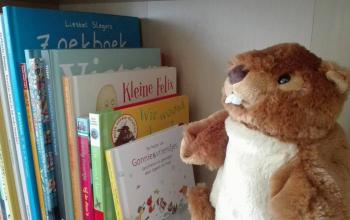 Boekenkast en bever.